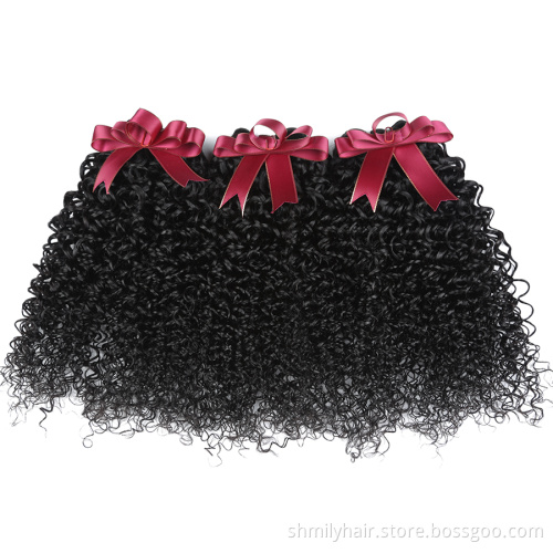 Brazilian Human Hair Bundles Virgin Hair Bundles Water Wave Hair Bundles